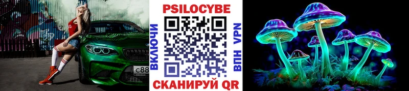 Купить закладки  Ак-Довурак  Галлюциногенные грибы Psilocybe 